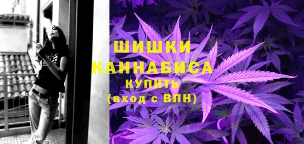 ГАЛЛЮЦИНОГЕННЫЕ ГРИБЫ Белоозёрский