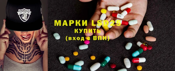 ГАЛЛЮЦИНОГЕННЫЕ ГРИБЫ Белоозёрский