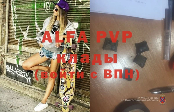 ГАЛЛЮЦИНОГЕННЫЕ ГРИБЫ Белоозёрский