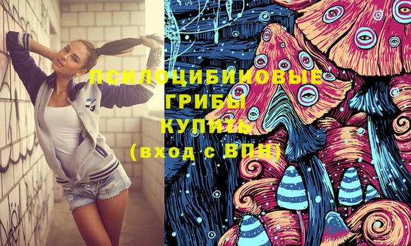 ГАЛЛЮЦИНОГЕННЫЕ ГРИБЫ Белоозёрский