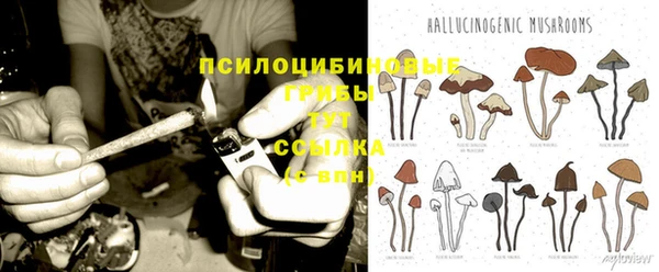 ГАЛЛЮЦИНОГЕННЫЕ ГРИБЫ Белоозёрский