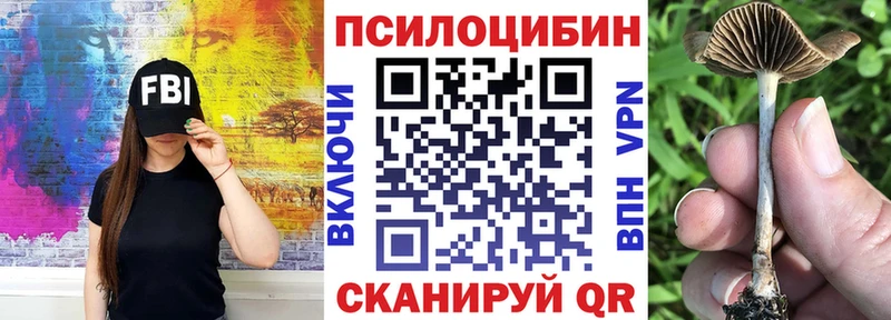 Псилоцибиновые грибы прущие грибы Кувандык